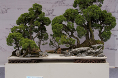 Chinese-Penjing-74