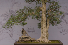 Chinese-Penjing-80