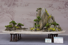 Chinese-Penjing-94