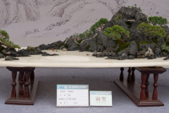 Chinese-Penjing-96
